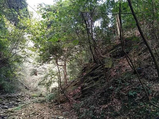 小小忍者疾风传