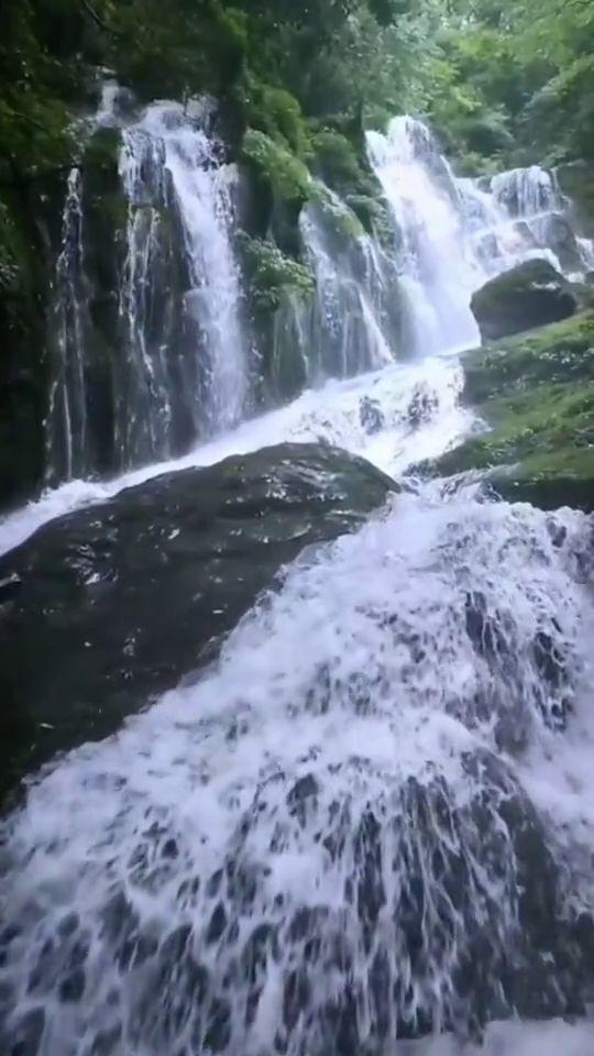 袋鼠兄弟2